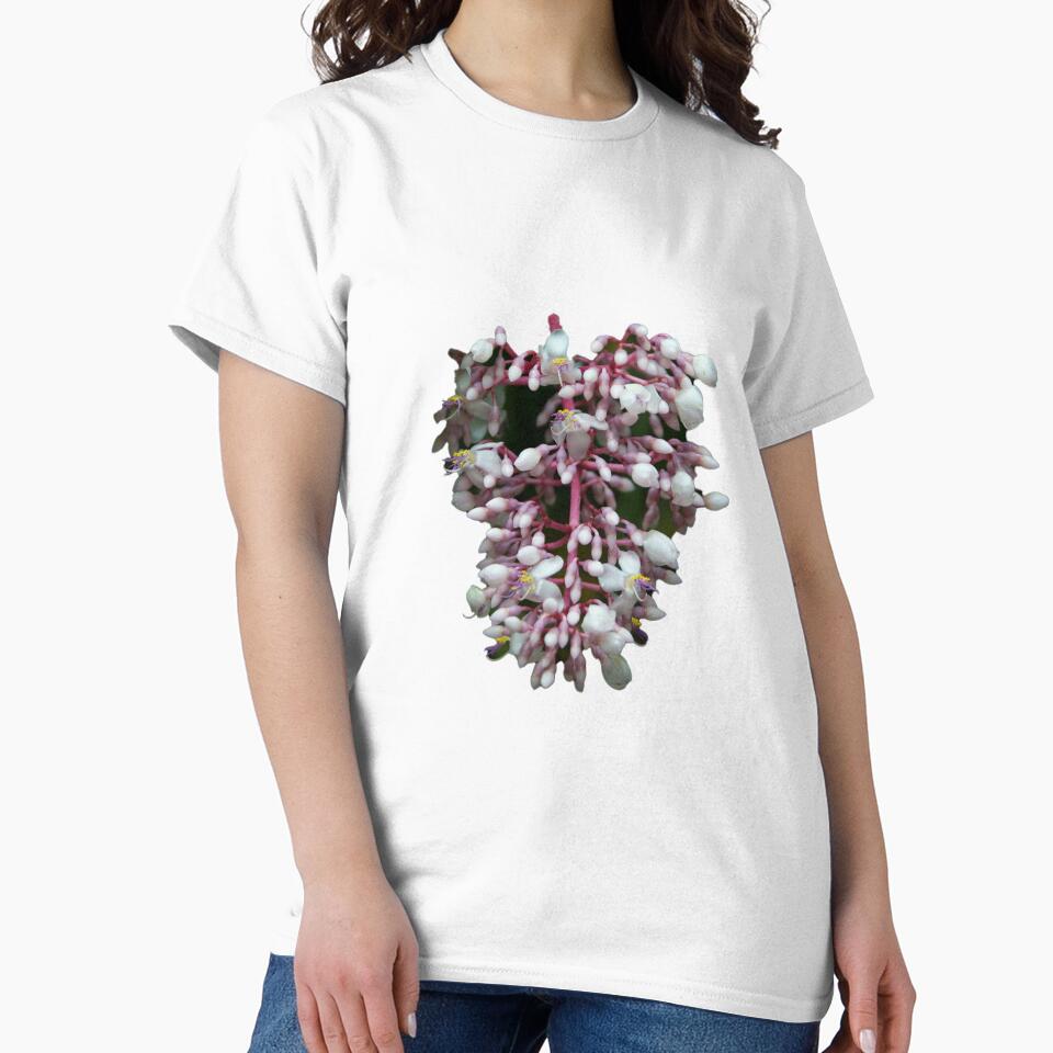 pink and white flower by rinamg