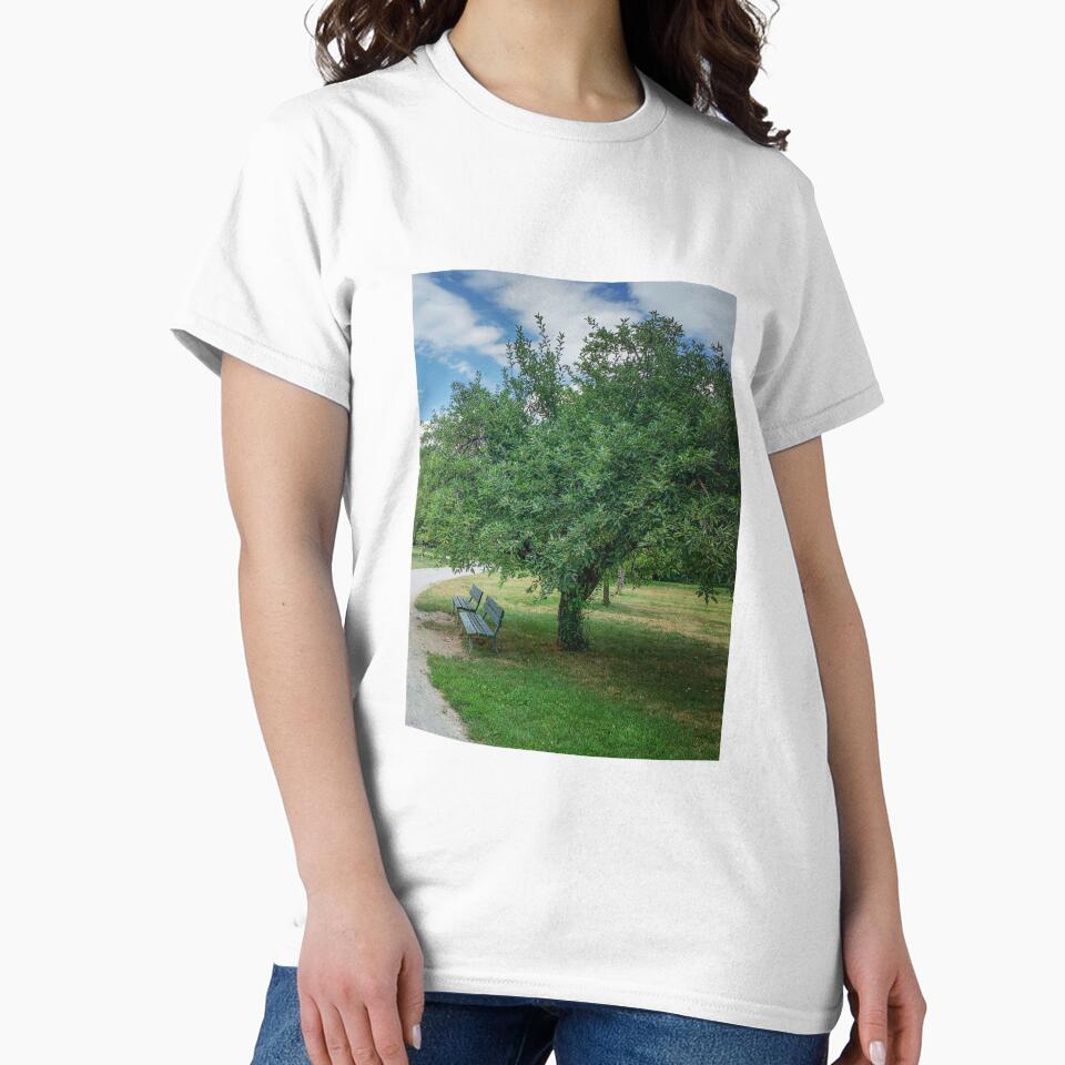 Park Green Tree Grass Sky Relax Bench by eleonoraingrid
