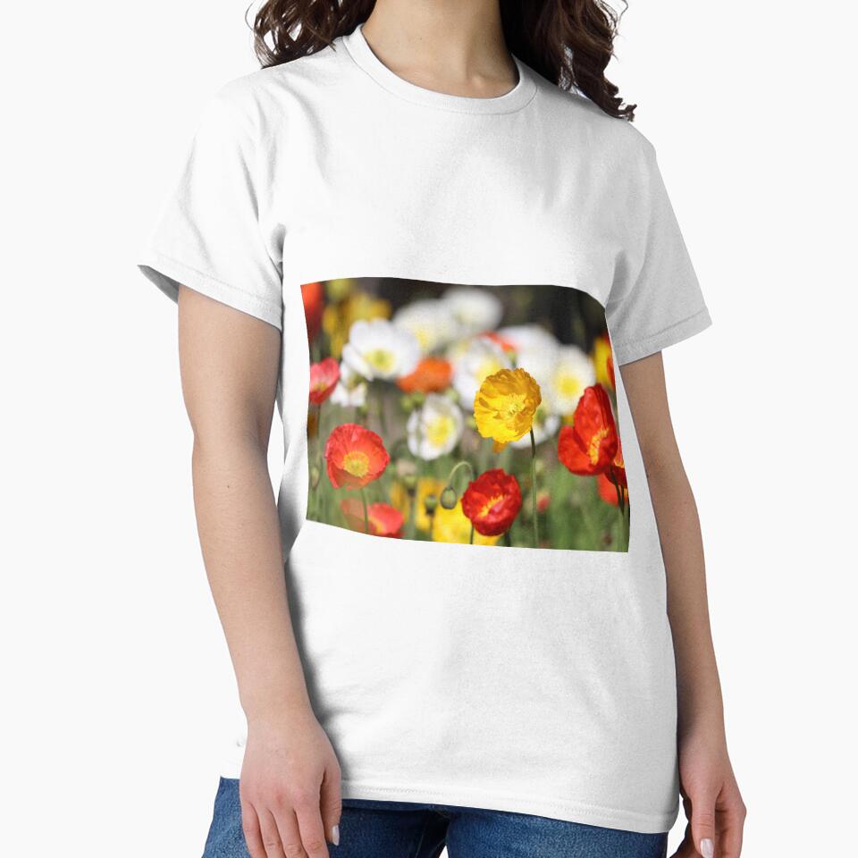 Iceland Poppies by May Finch
