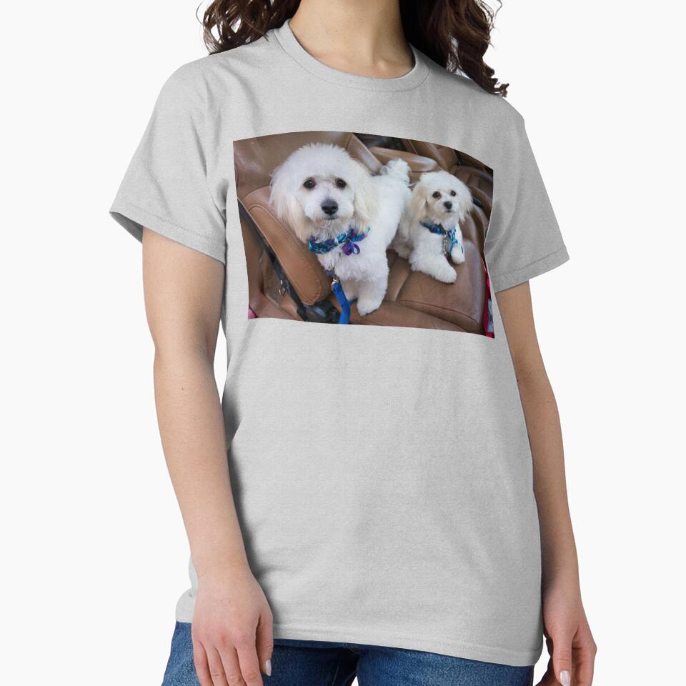 White Fluffy Dogs by edwinvisuals