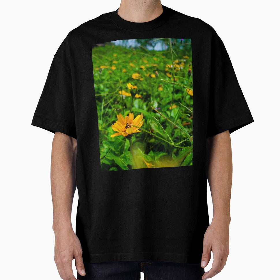 yellow flowers in green grass by Melquidedec
