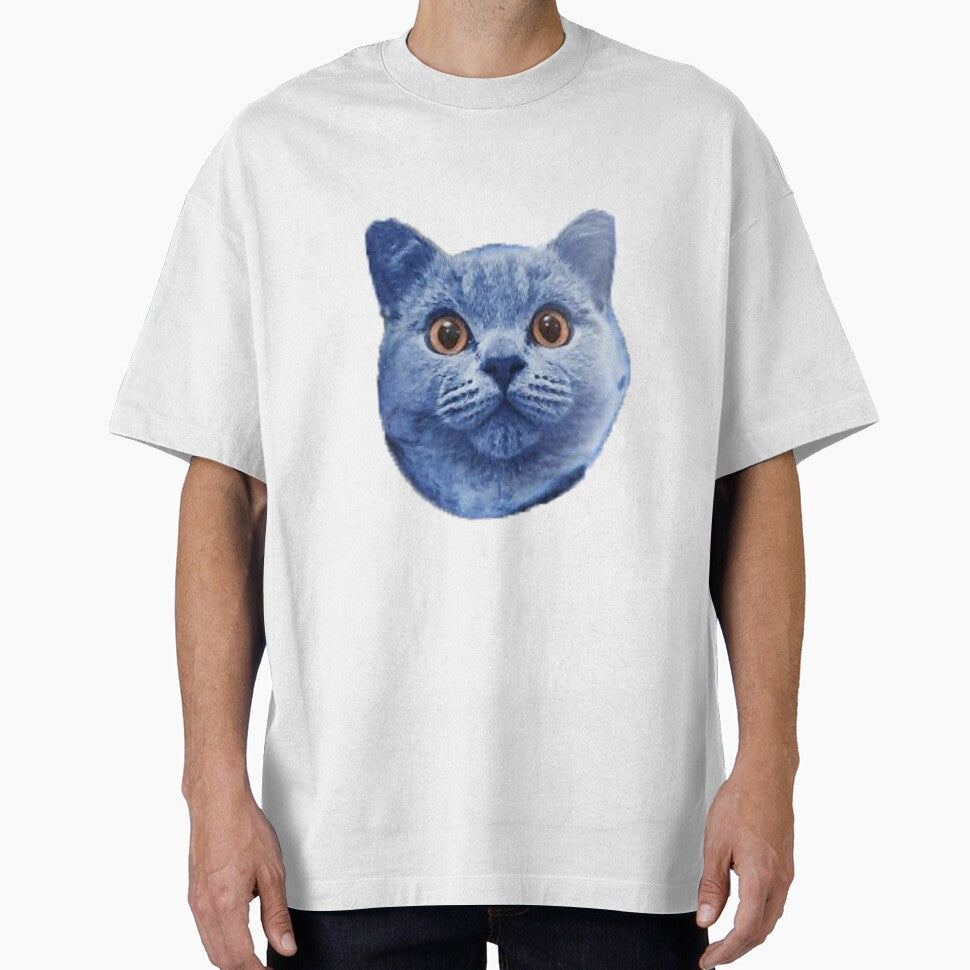 Blueberry cat by shlaboza