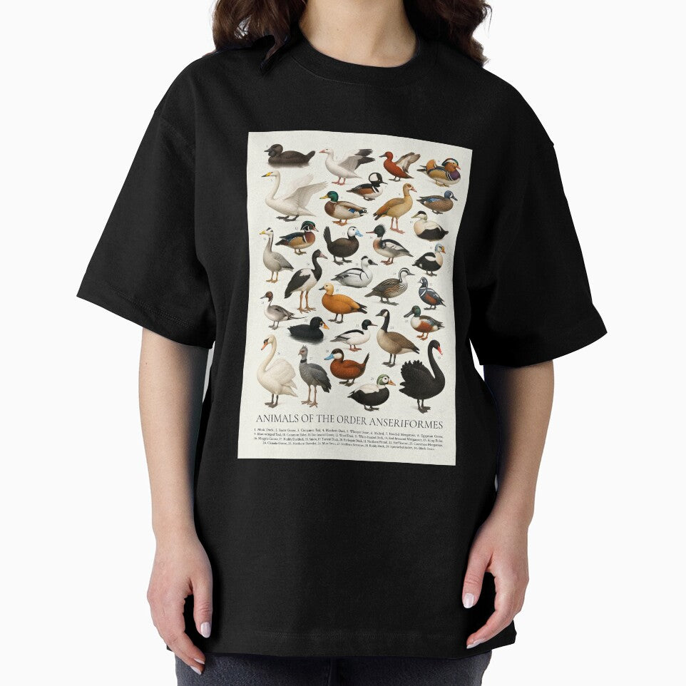 Anseriformes (Duck Goose Swan) Wildlife Retro Identification Chart by kakarikihill