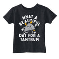 What A Beautiful Day For A Tantrum Toddler T Shirt