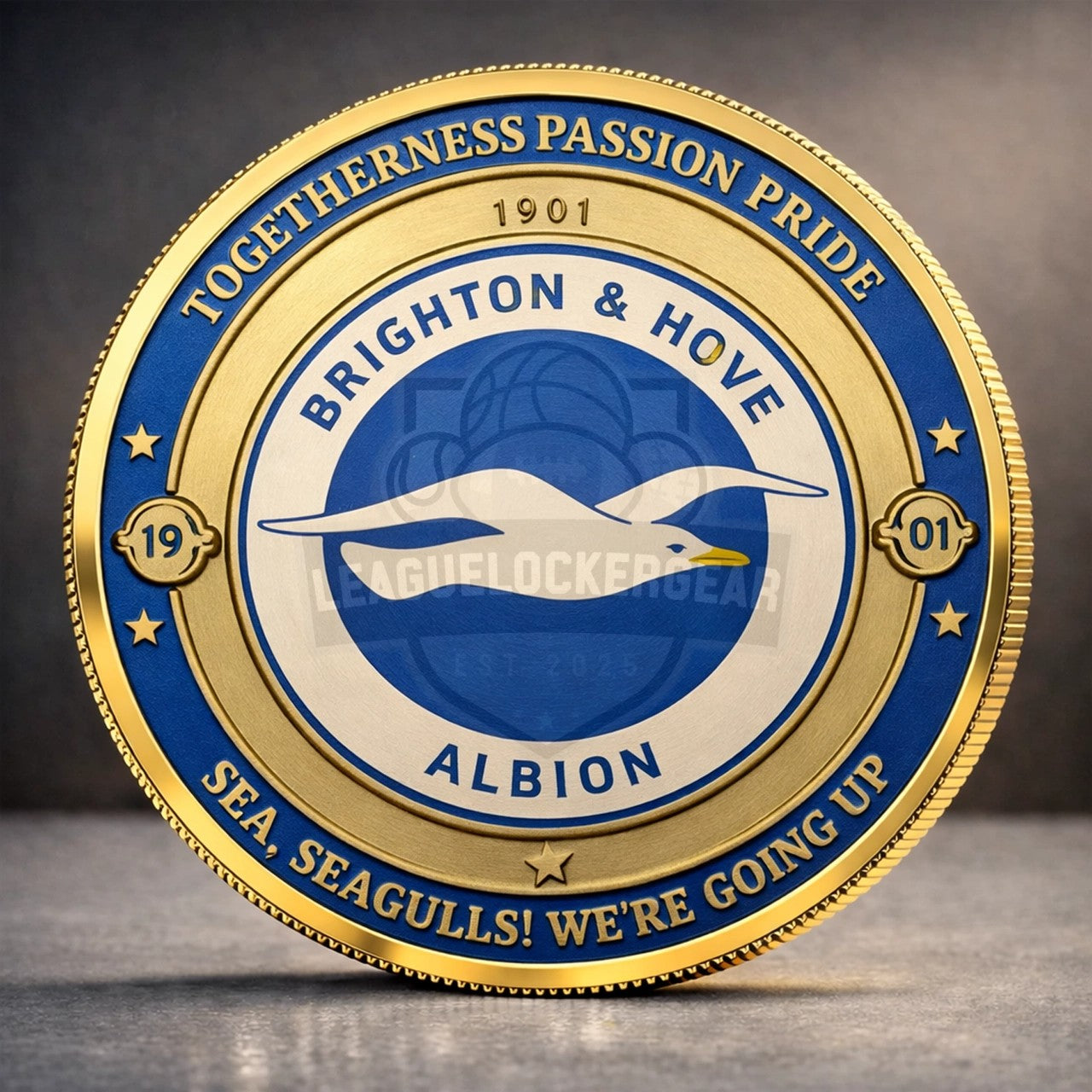 Premier League All Teams Challenge Coin