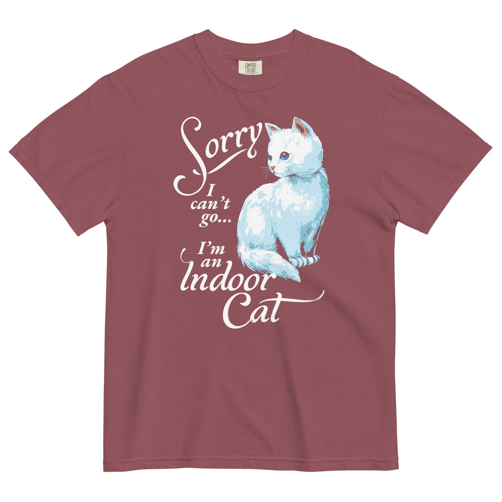 Sorry I Can't Go I'm An Indoor Cat Men's Relaxed Fit Tee