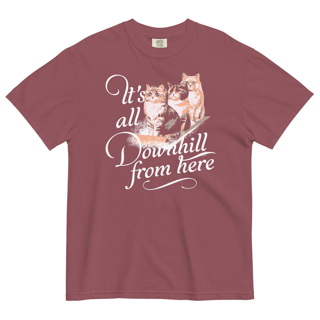 It's All Downhill From Here Men's Relaxed Fit Tee