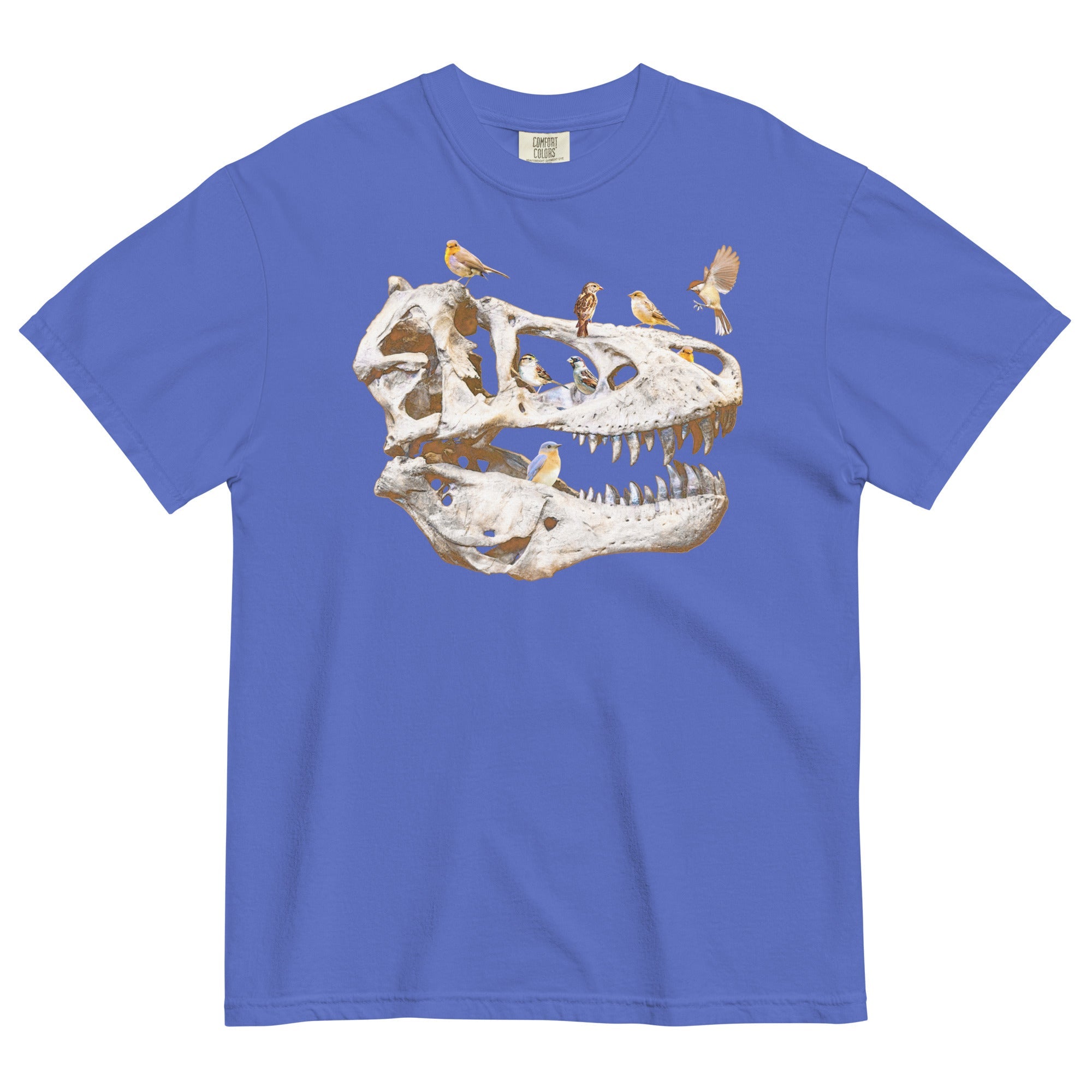 Bird Bones Men's Relaxed Fit Tee