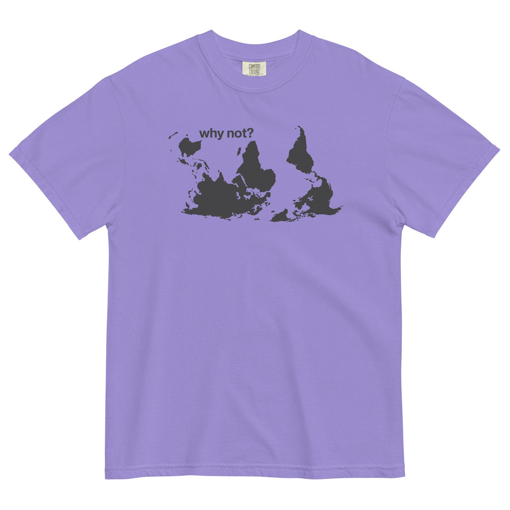 Why Not? Men's Relaxed Fit Tee