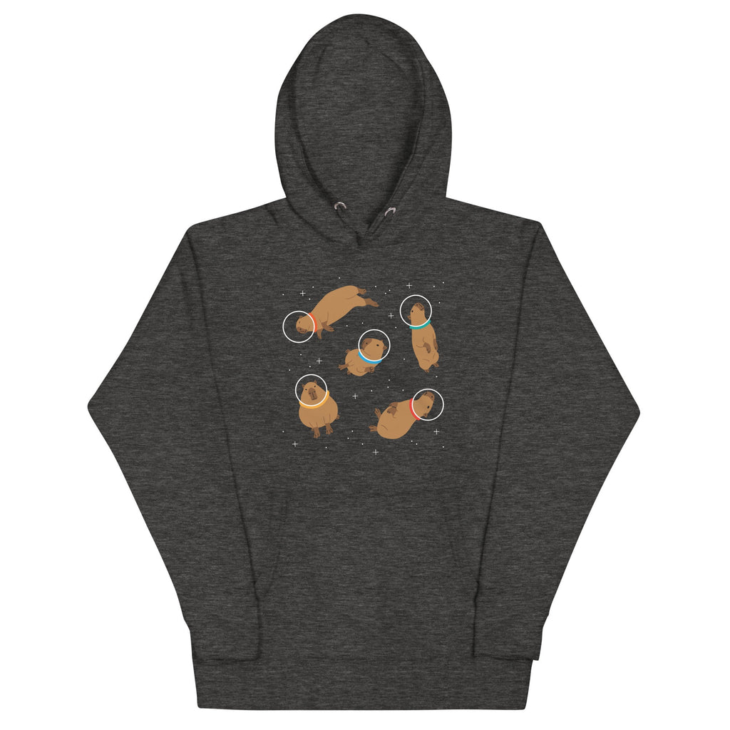 Capybaras In Space Unisex Hoodie