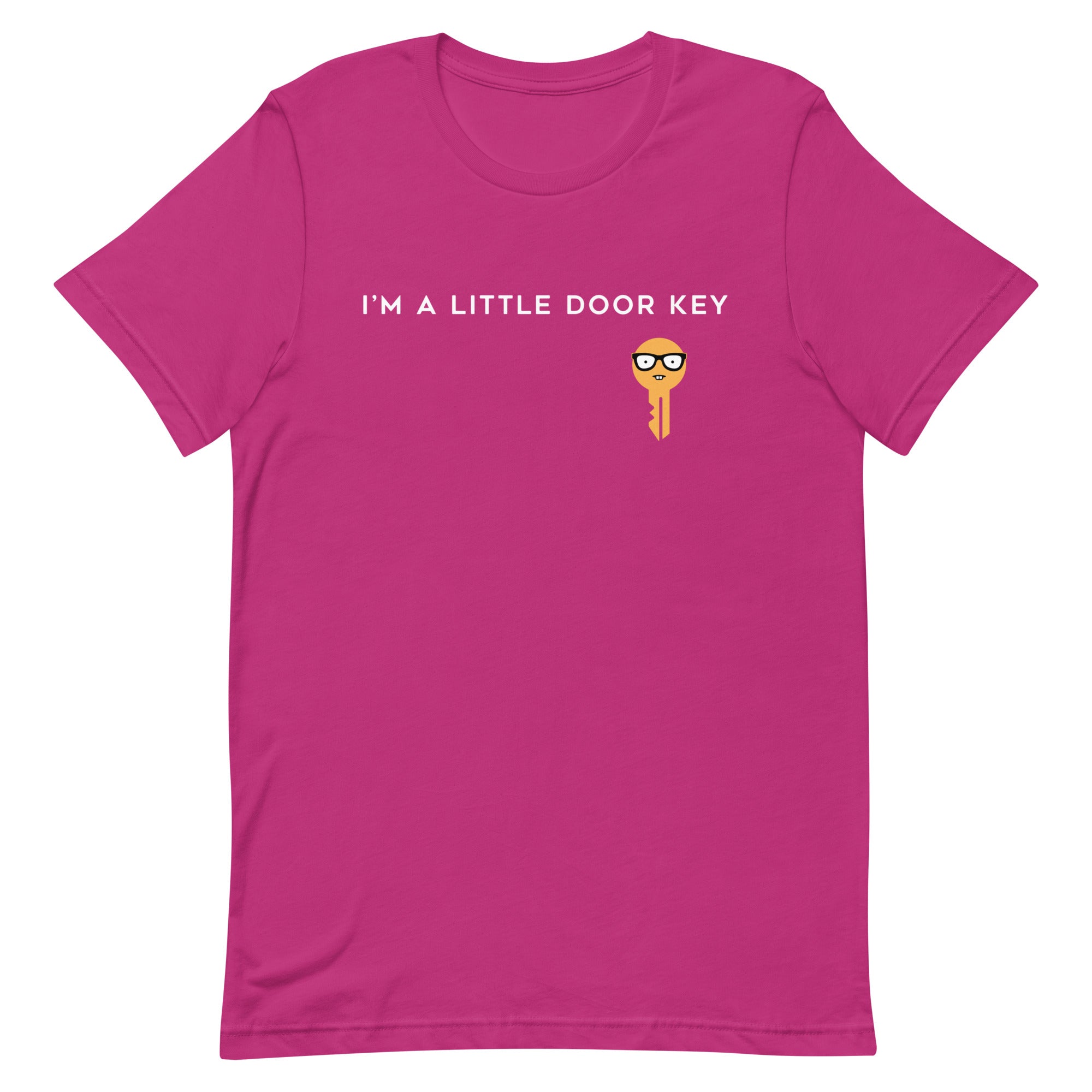 I'm A Little Door Key Men's Signature Tee