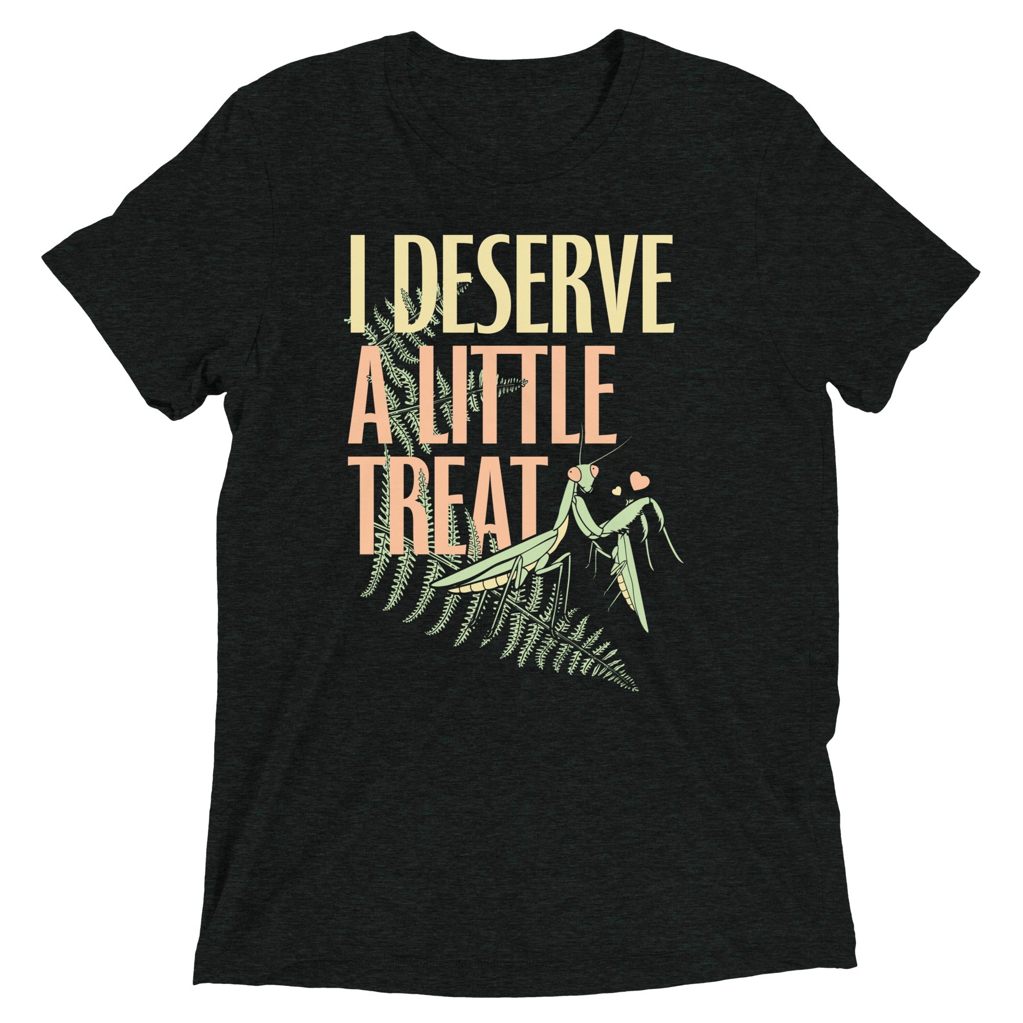I Deserve A Little Treat Men's Tri-Blend Tee