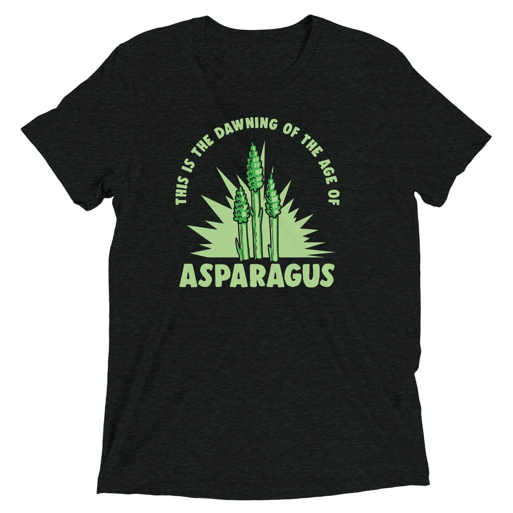 Age Of Asparagus Men's Tri-Blend Tee