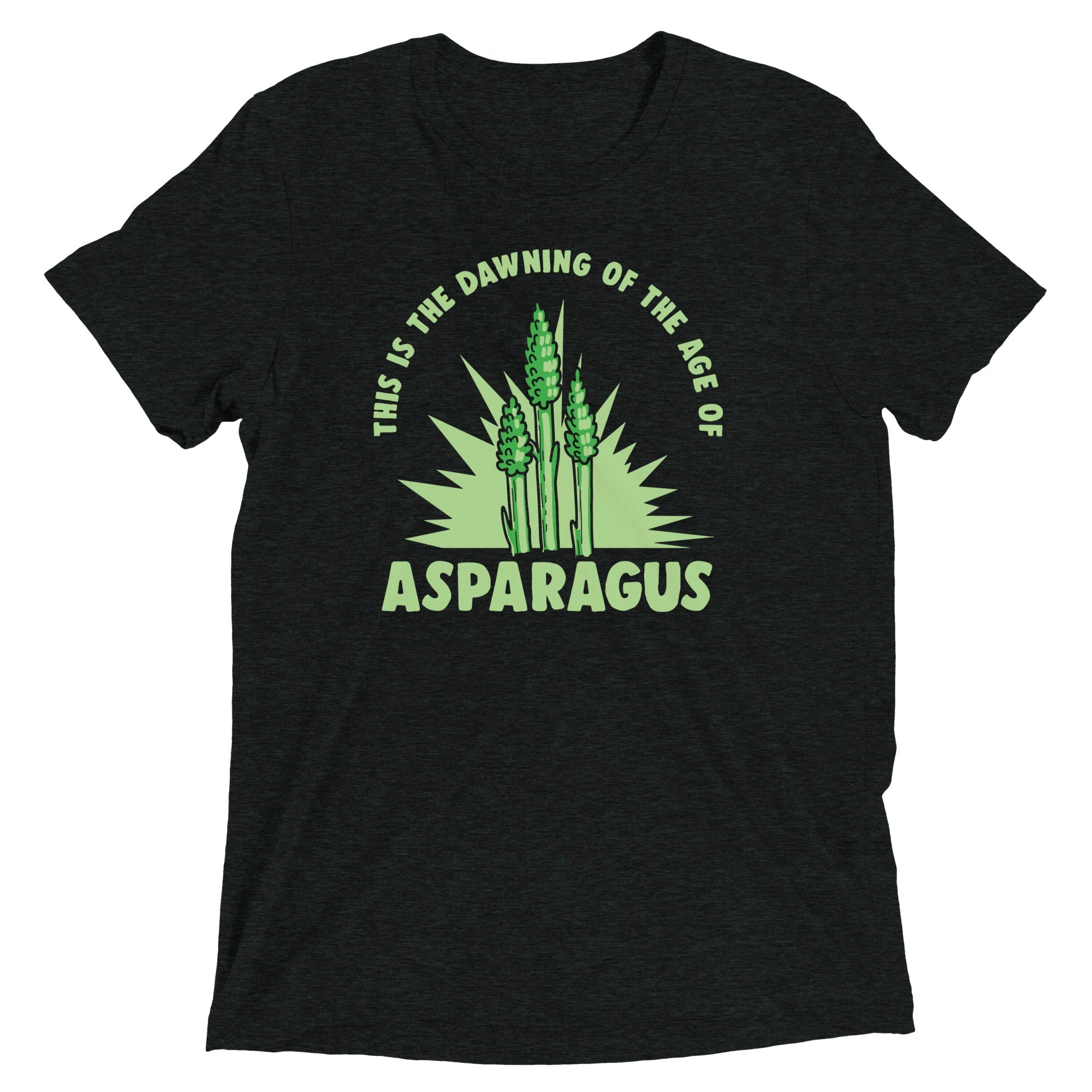 Age Of Asparagus Men's Tri-Blend Tee