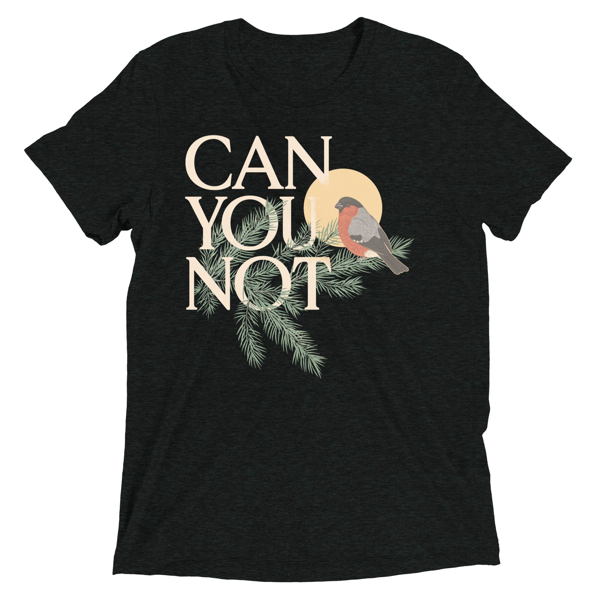 Can You Not Men's Tri-Blend Tee