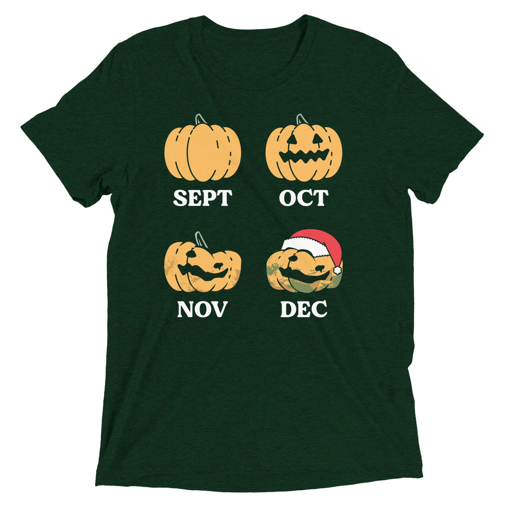 Pumpkin Months Men's Tri-Blend Tee
