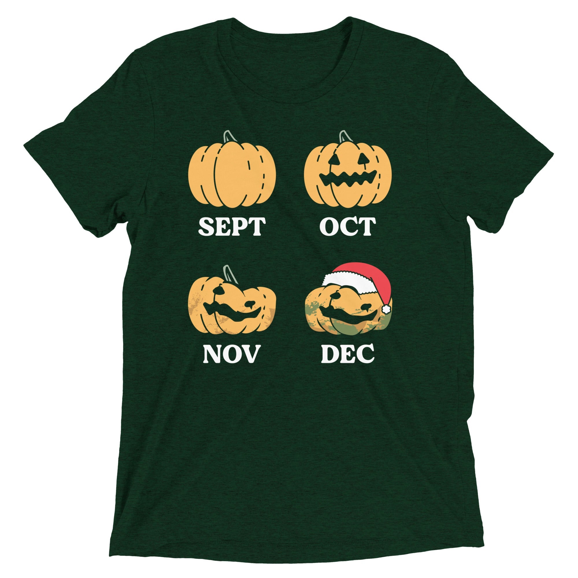 Pumpkin Months Men's Tri-Blend Tee