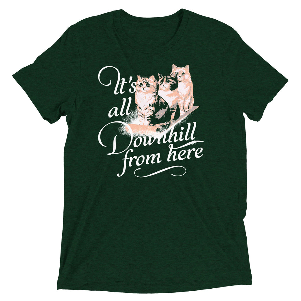 It's All Downhill From Here Men's Tri-Blend Tee