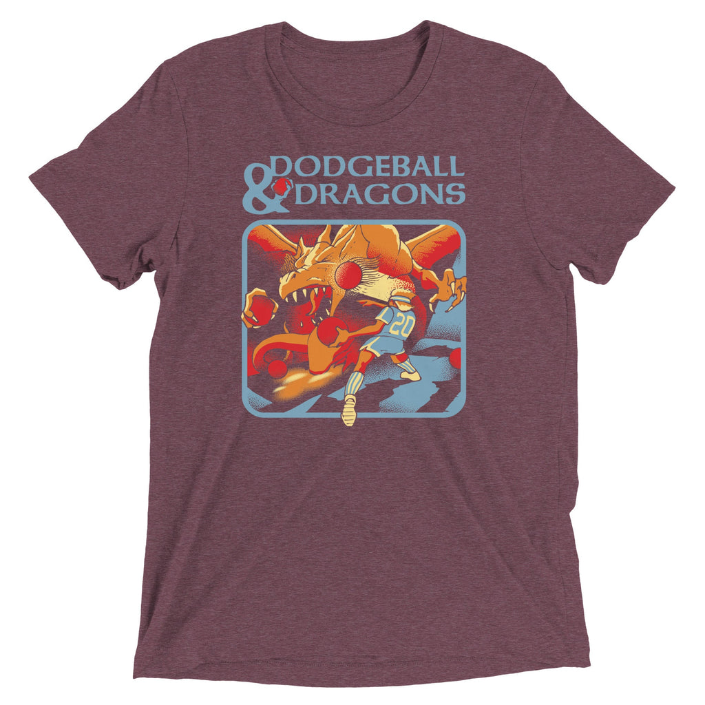 Dodgeball And Dragons Men's Tri-Blend Tee