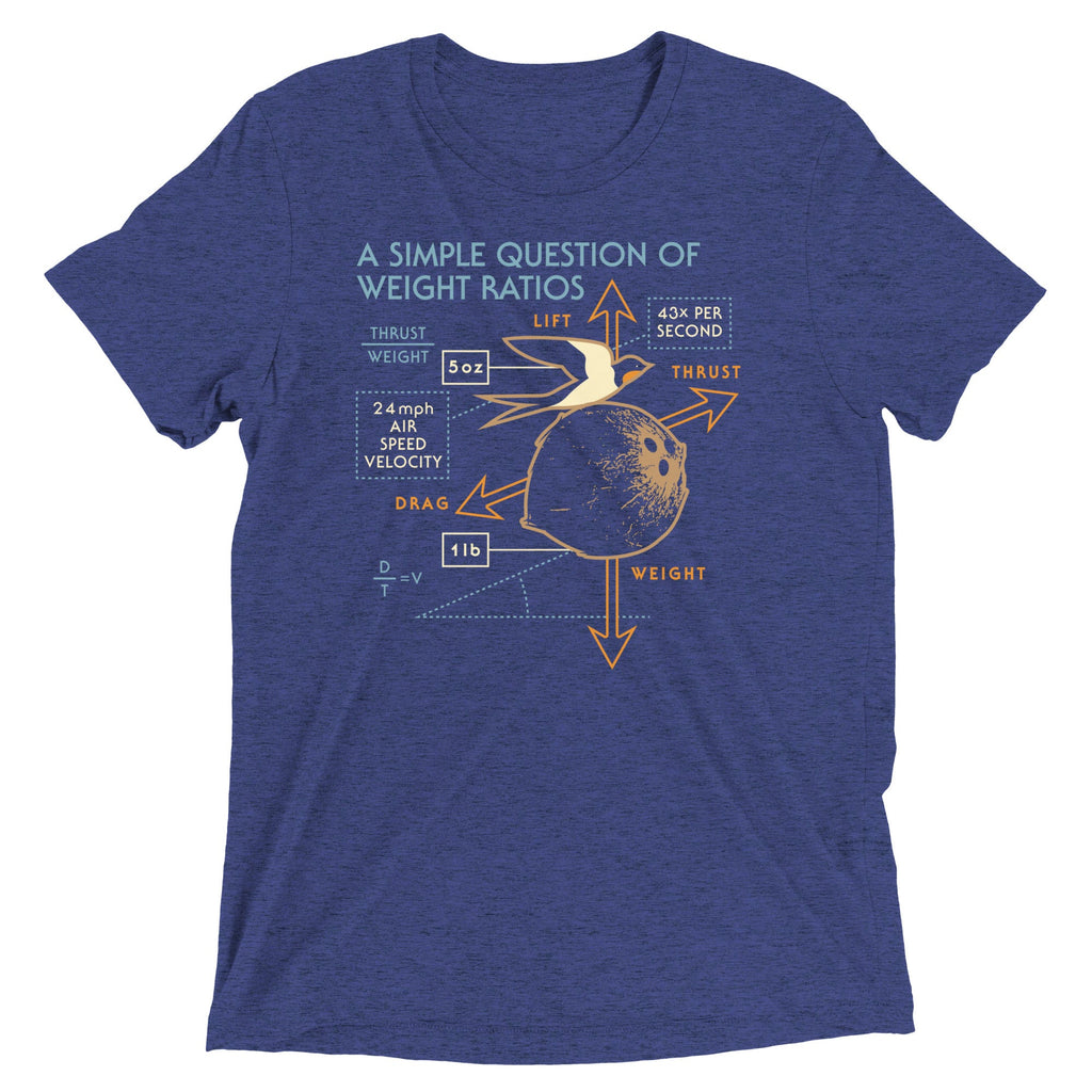 A Simple Question Of Weight Ratios Men's Tri-Blend Tee