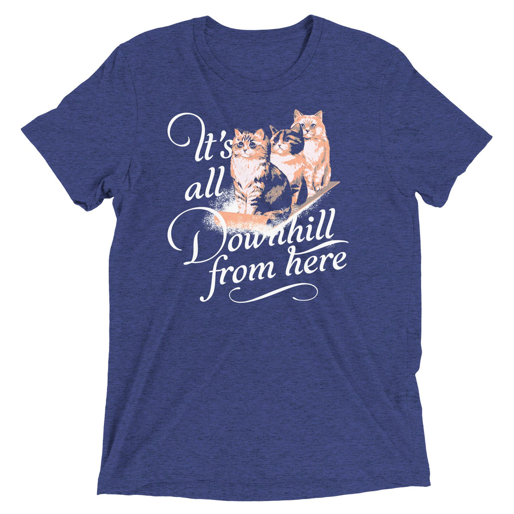 It's All Downhill From Here Men's Tri-Blend Tee
