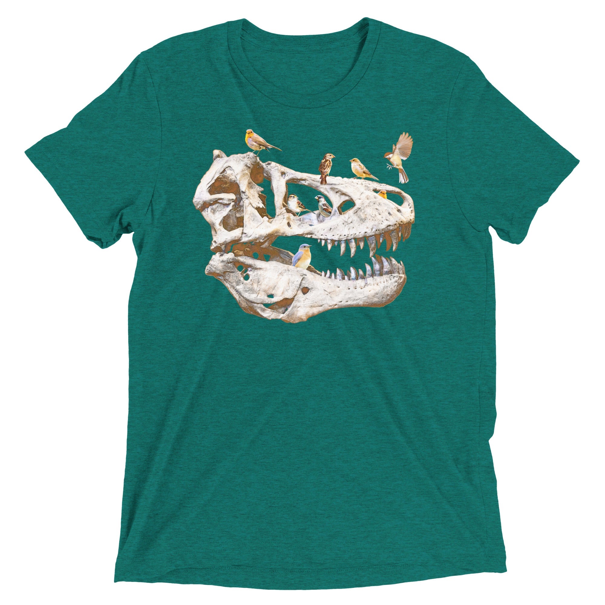 Bird Bones Men's Tri-Blend Tee