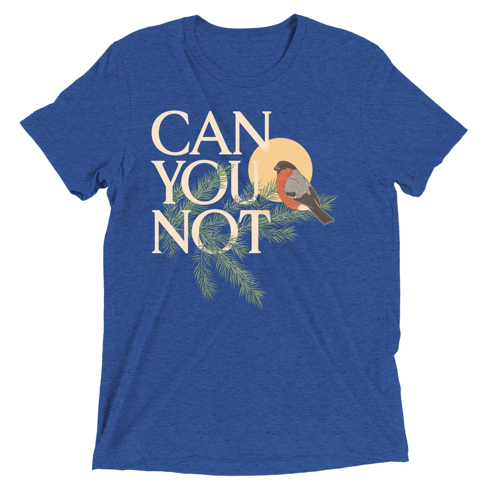 Can You Not Men's Tri-Blend Tee