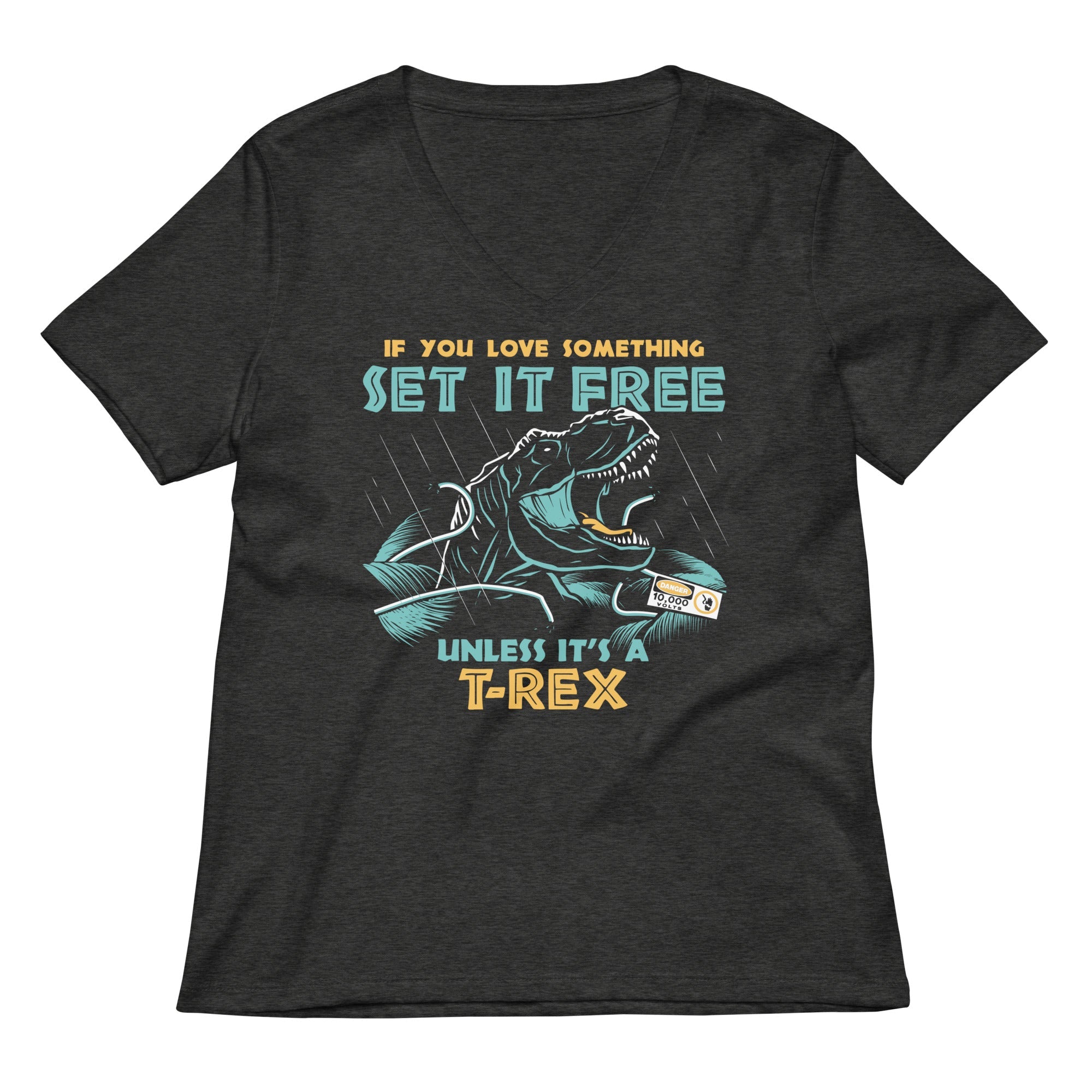 If You Love Something Set It Free Women's V-Neck Tee