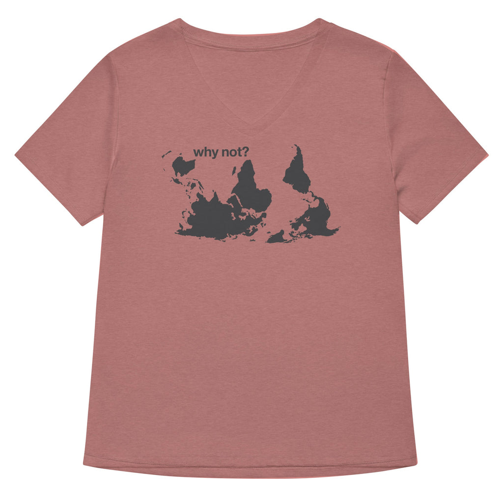 Why Not? Women's V-Neck Tee