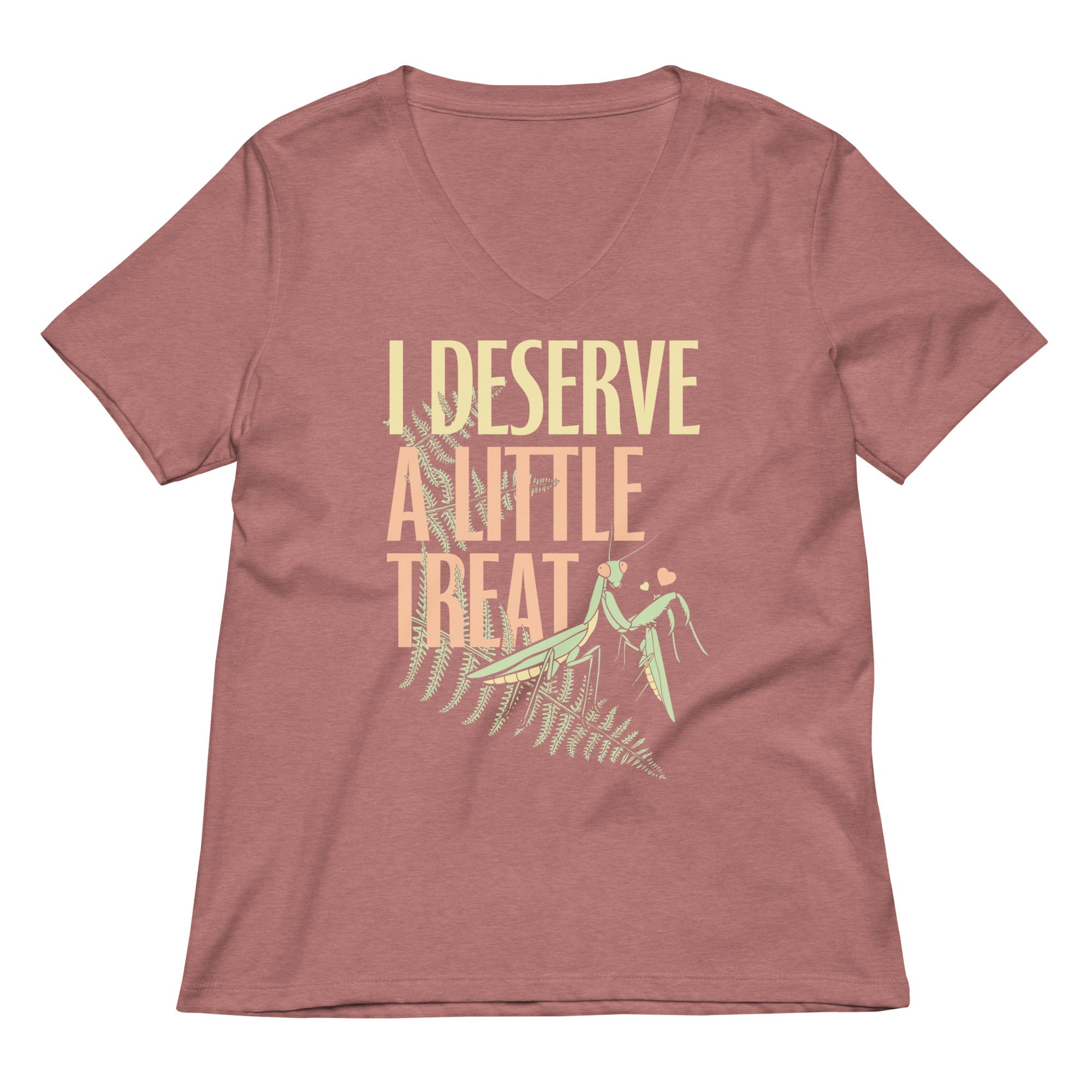 I Deserve A Little Treat Women's V-Neck Tee