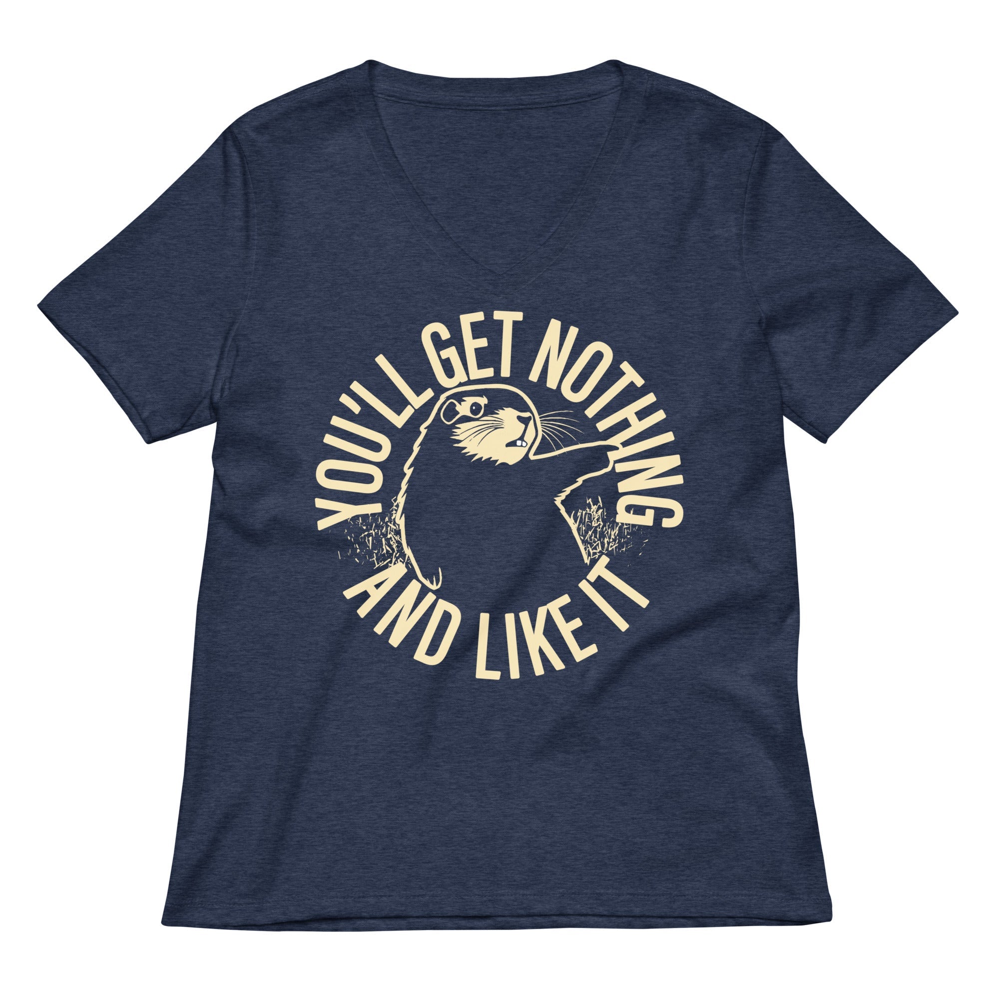 You'll Get Nothing And Like It Women's V-Neck Tee