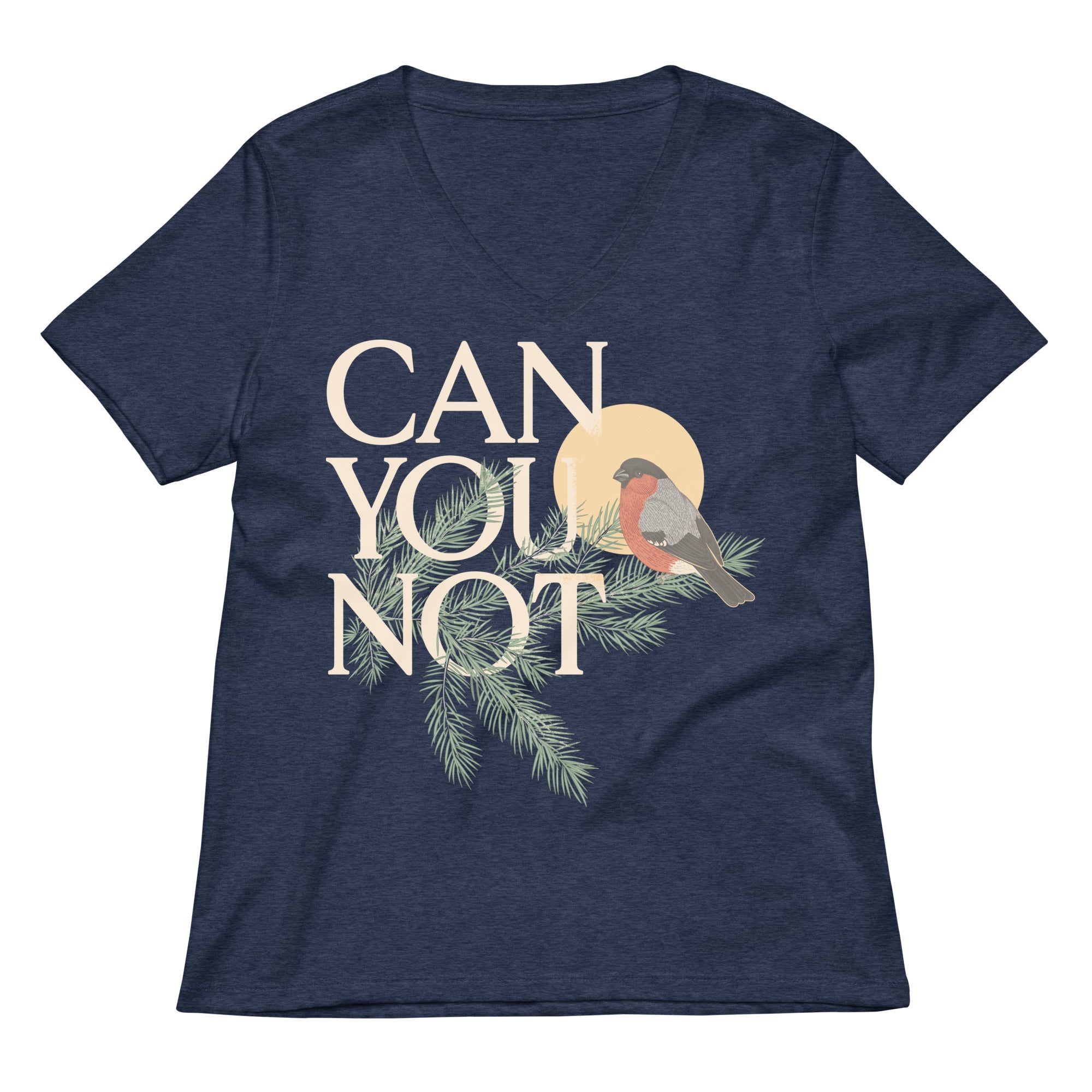 Can You Not Women's V-Neck Tee