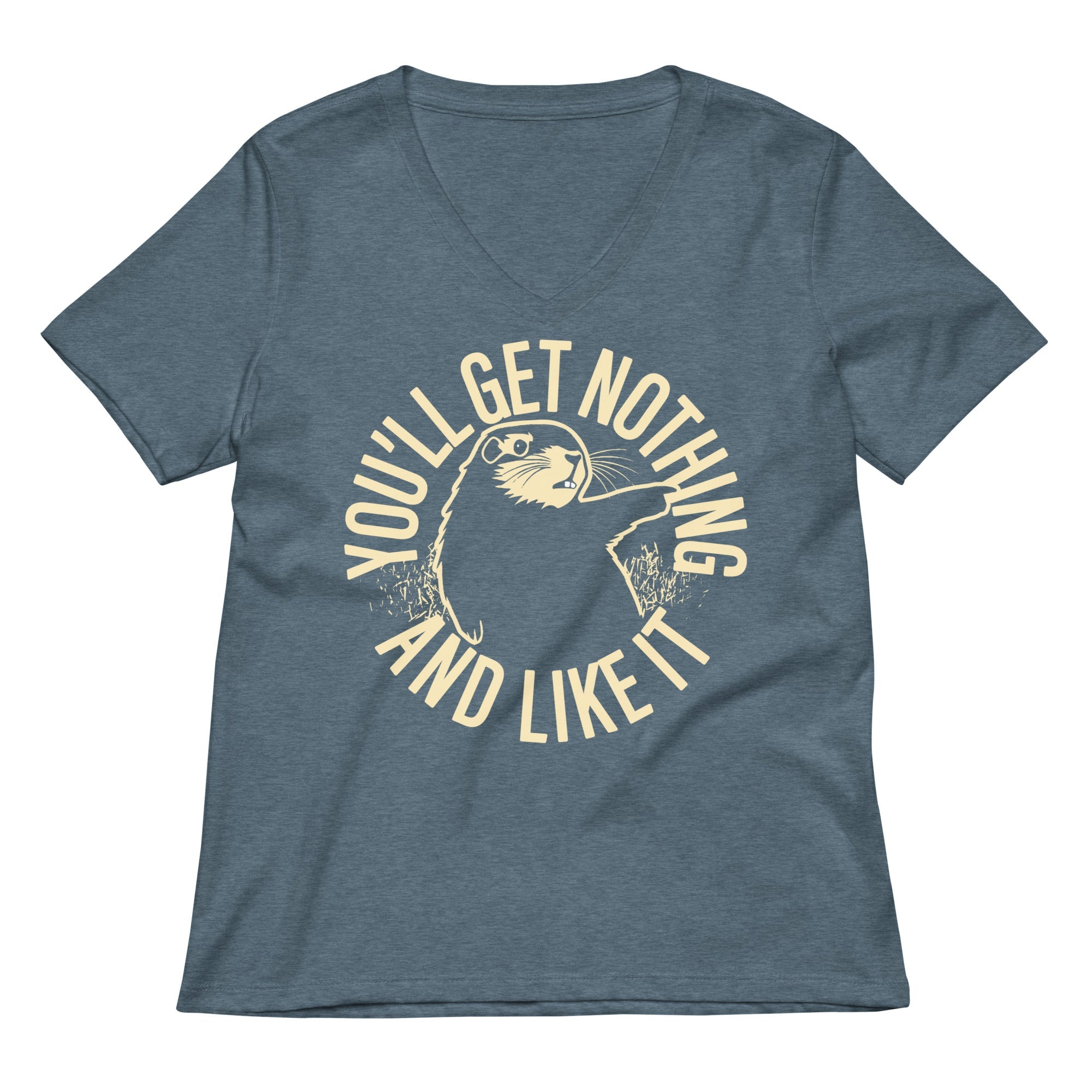 You'll Get Nothing And Like It Women's V-Neck Tee