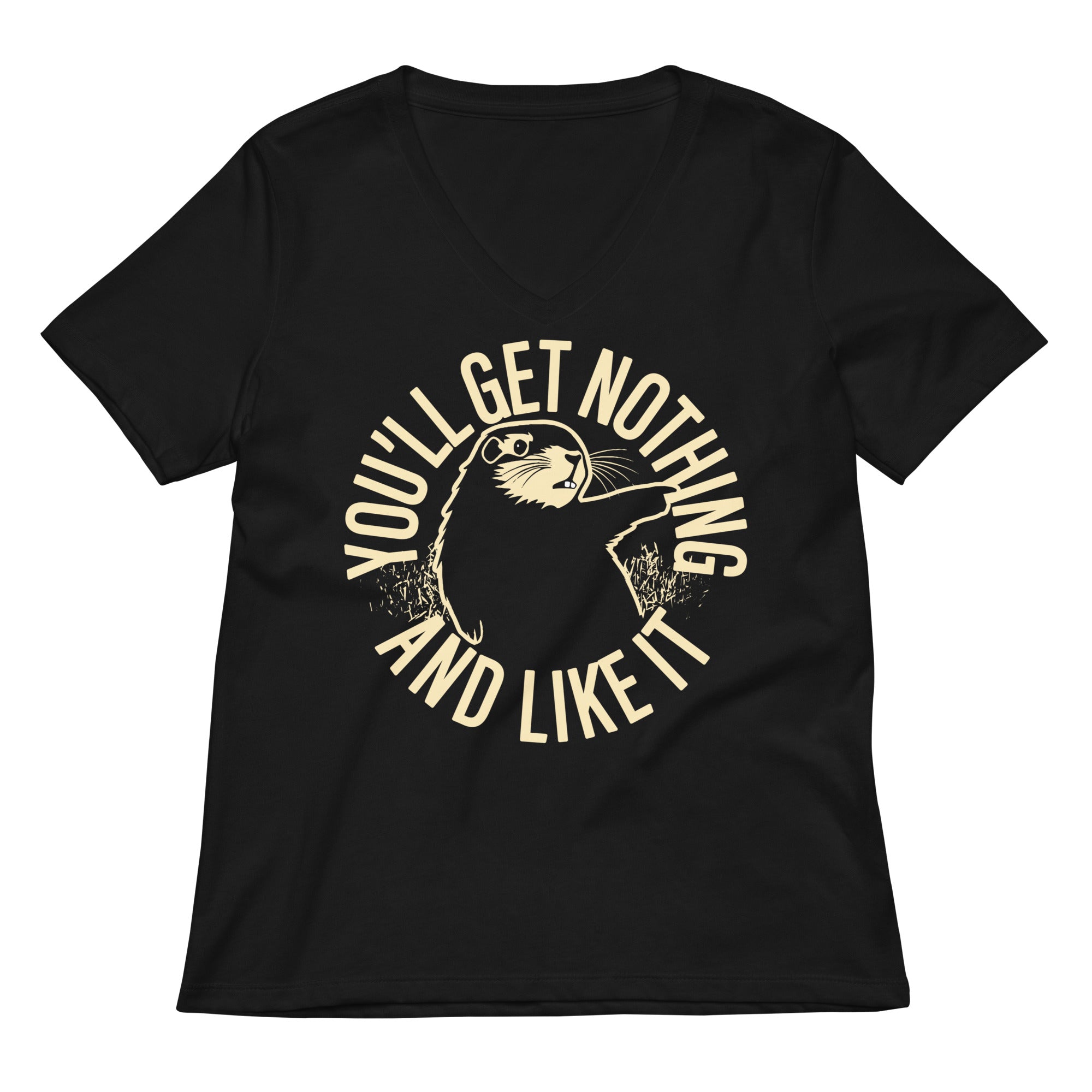 You'll Get Nothing And Like It Women's V-Neck Tee
