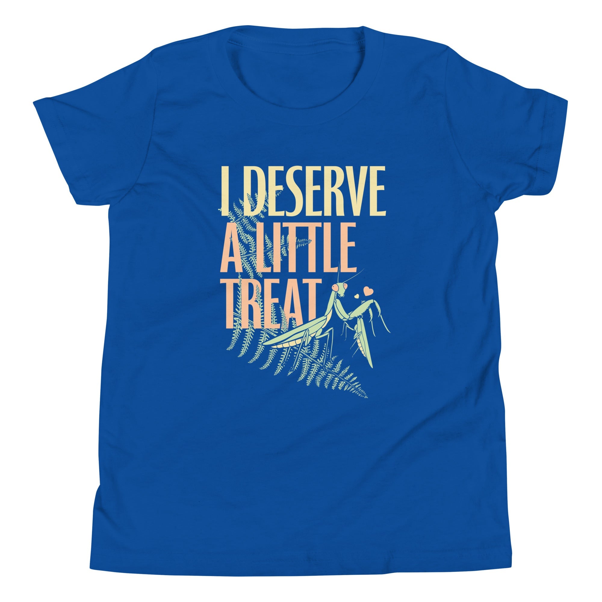 I Deserve A Little Treat Kid's Youth Tee