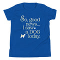 So Good News I Saw A Dog Today Kid's Youth Tee